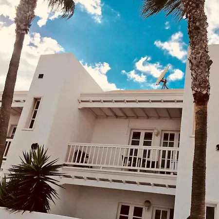 Le Family Palms *